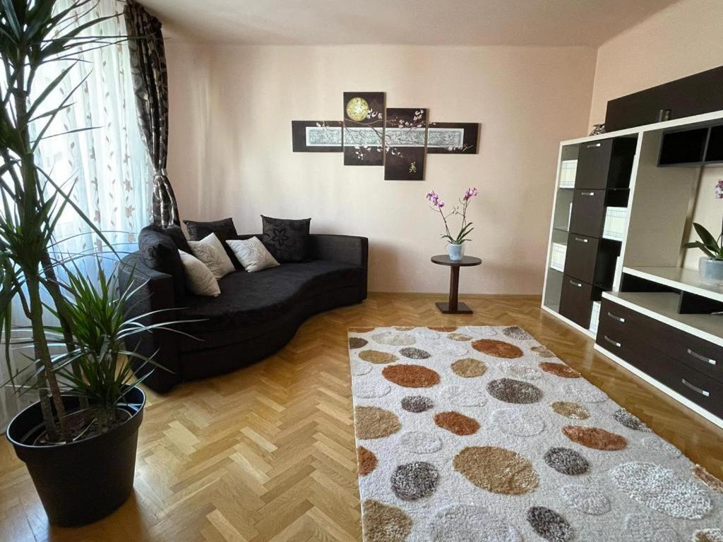 Apartmán Winterland Sf.Ioan Brašov Exteriér fotografie